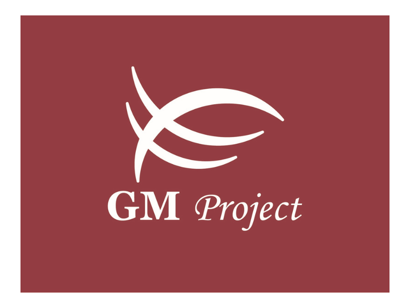 GM PROJET