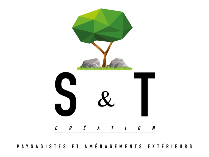 S&T CREATION