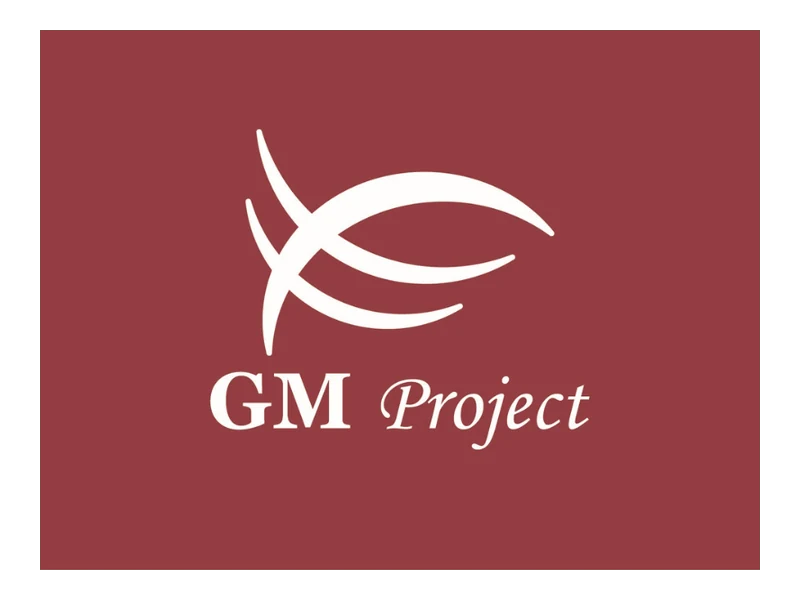 GM PROJET