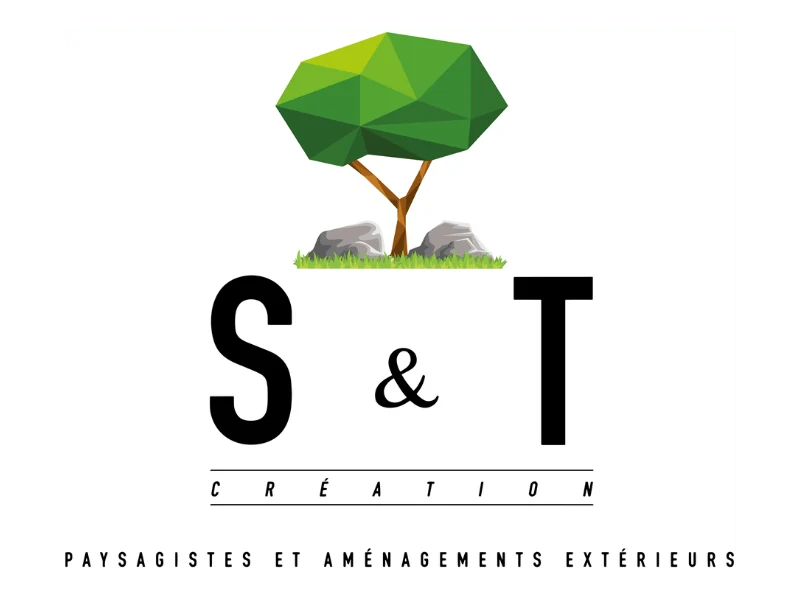 S&T CREATION